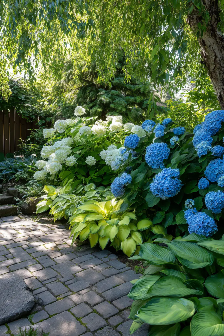 Traditional Beauty with Bigleaf Hydrangeas and Fragrant Hostas