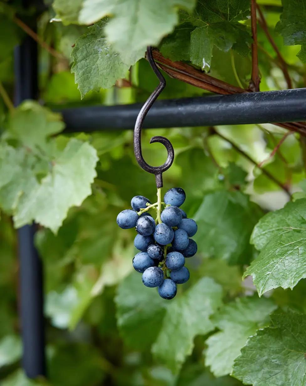 Shepherds hook