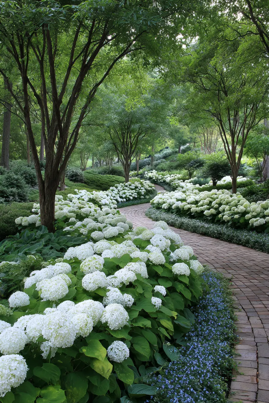 Dramatic Drift Hydrangea Design