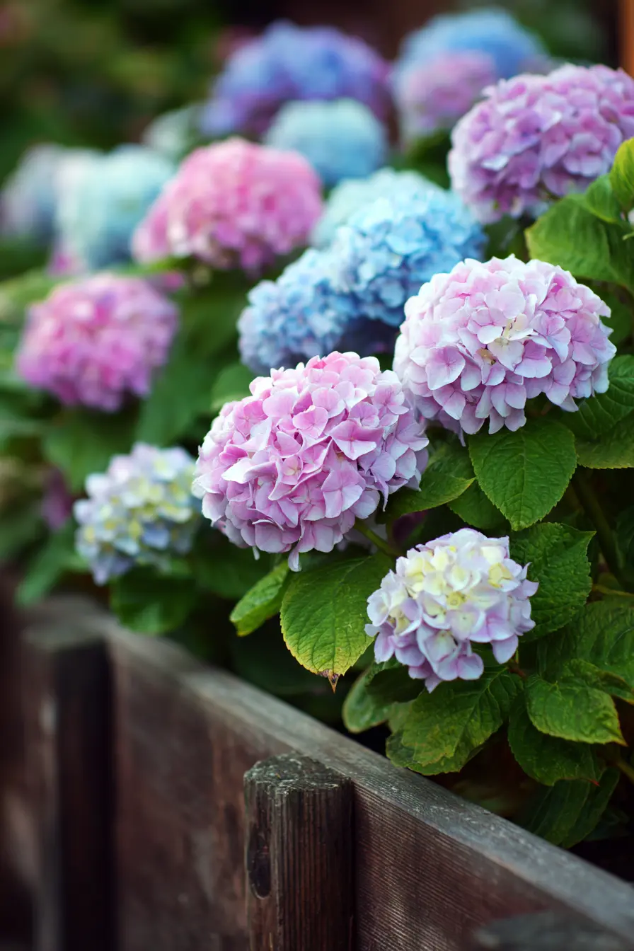 Pastel Petal Paradise