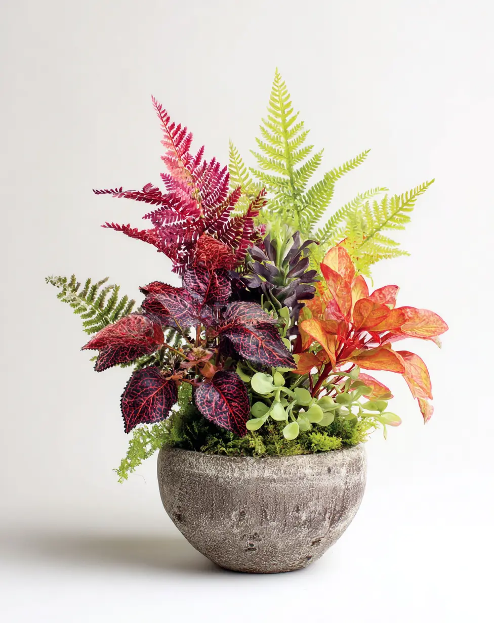 Whimsical Woodland: Combine Coleus with Ferns and Moss