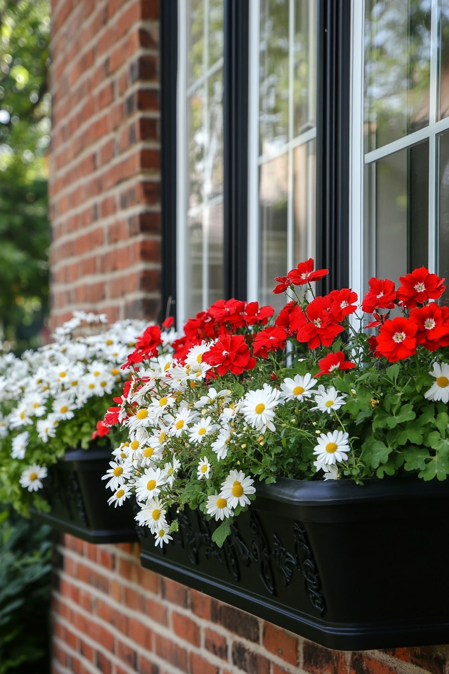 Classic Iron Window Boxes with Daisies and Poppies
