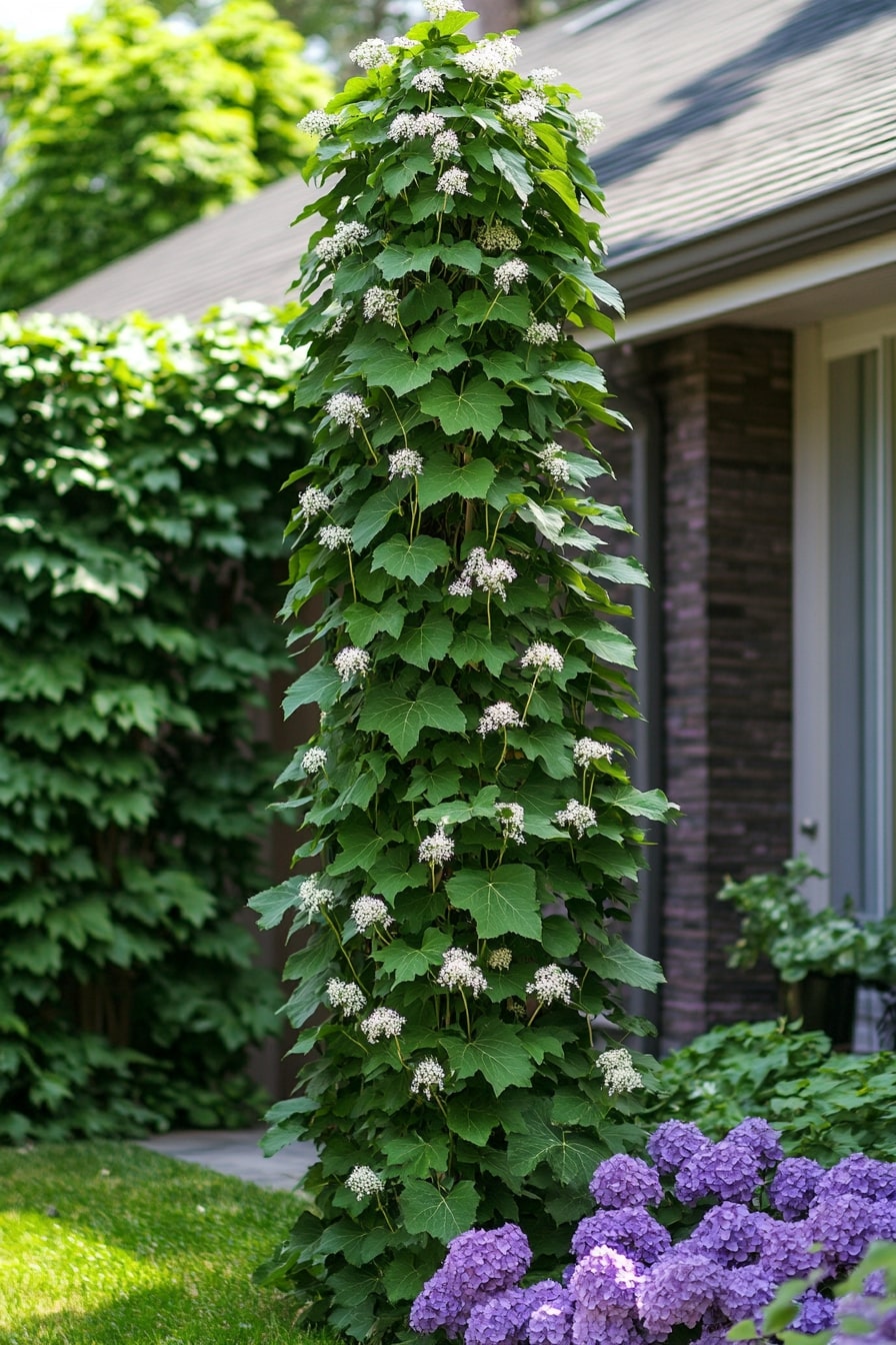  Living Wall Trellis