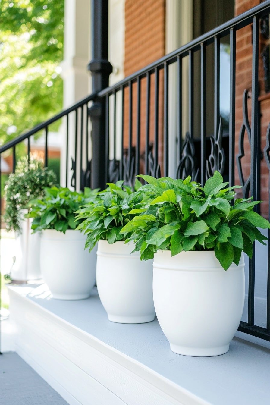Self-Watering Planters