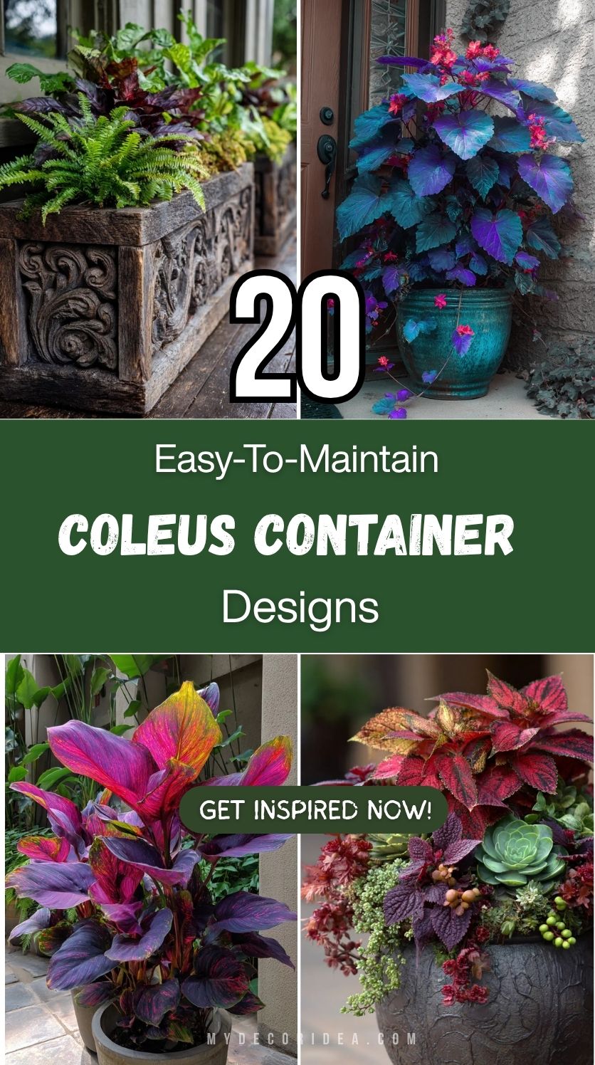 20 Easy-To-Maintain Coleus Container Designs
