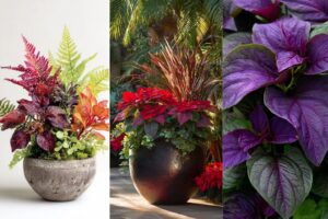 20 Stunning Coleus Container Ideas For a Vibrant Garden
