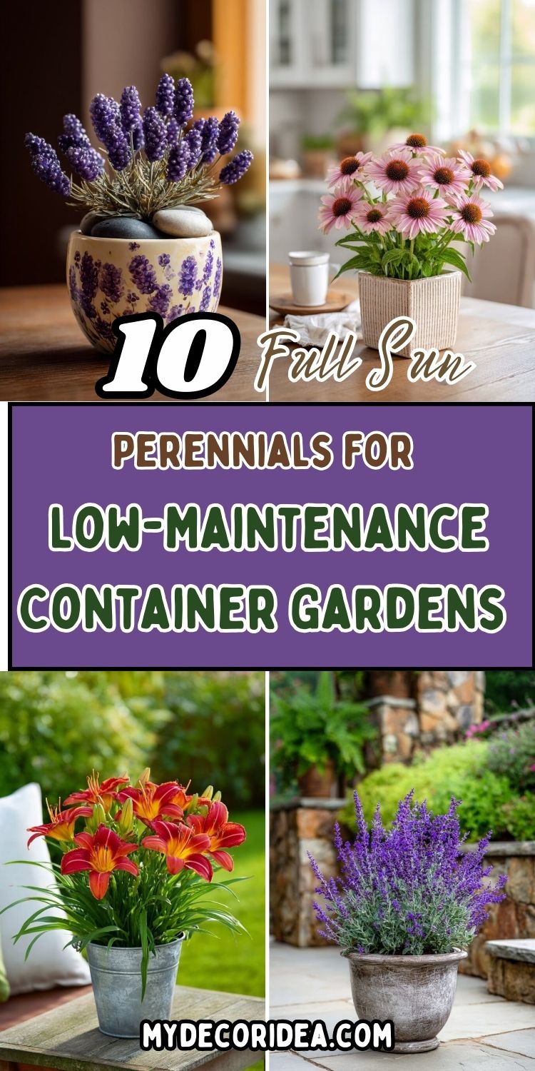 10 Full Sun Perennials for Low-Maintenance Container Gardens (Lazy Gardener Edition)