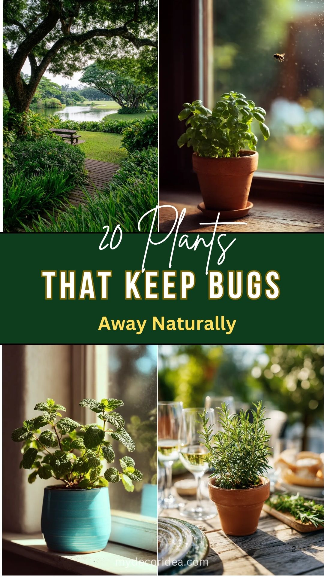 20 Plants That Keep Bugs Away Naturally
