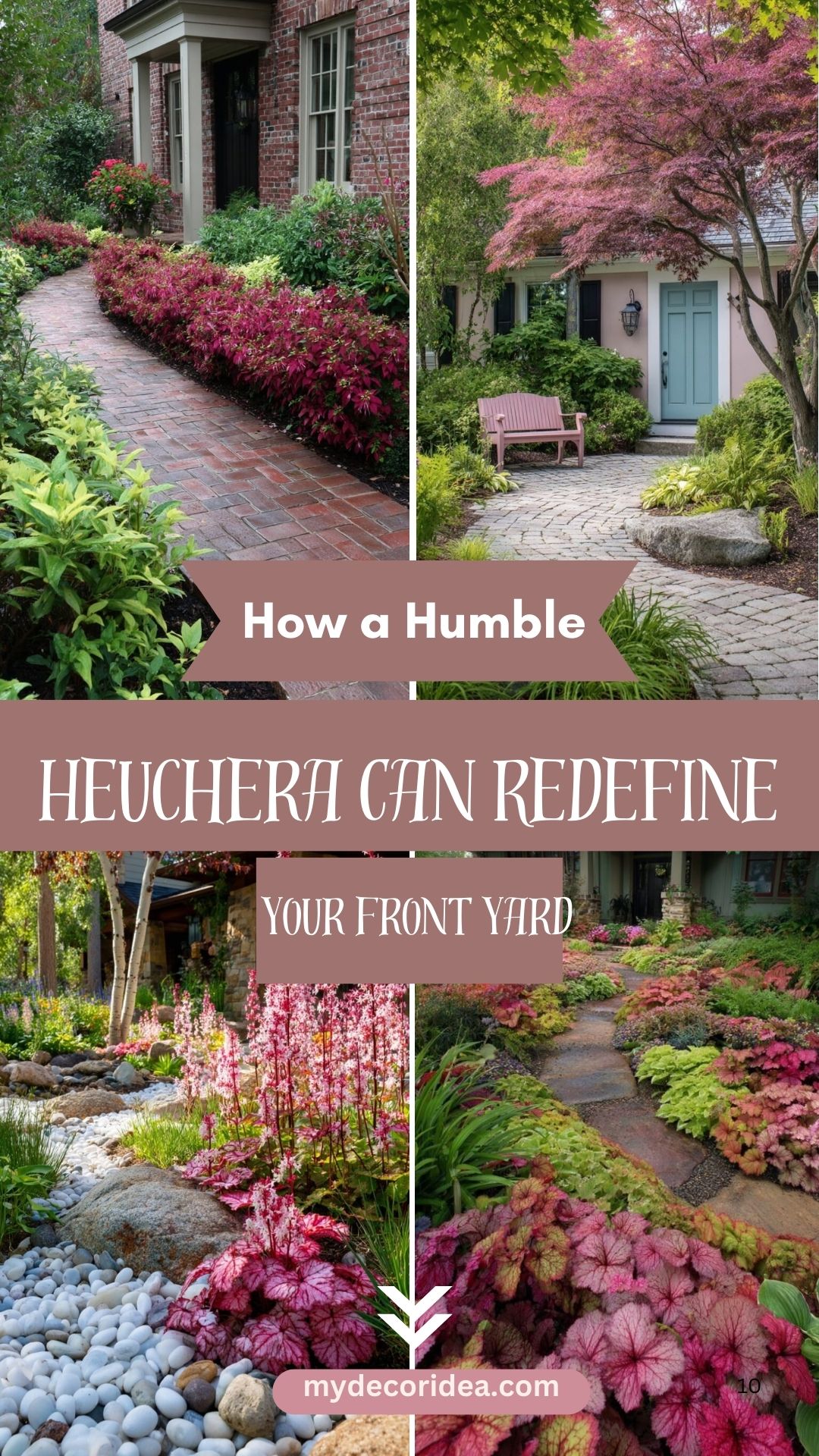 How a Humble Heuchera Can Redefine Your Front Yard
