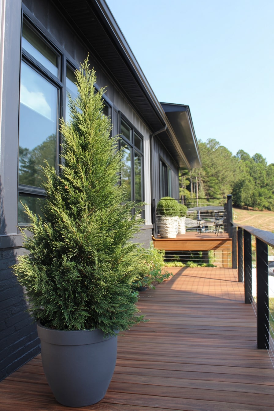 Potted Greenery That Elevates Deck Skirting Style